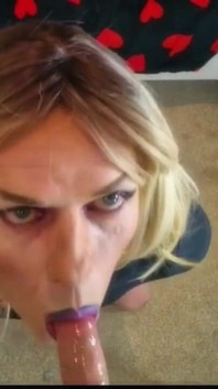 POV Blowjob