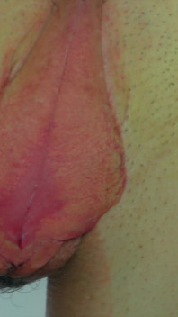 Arielle Lane - đặt chúng vào kính iii
