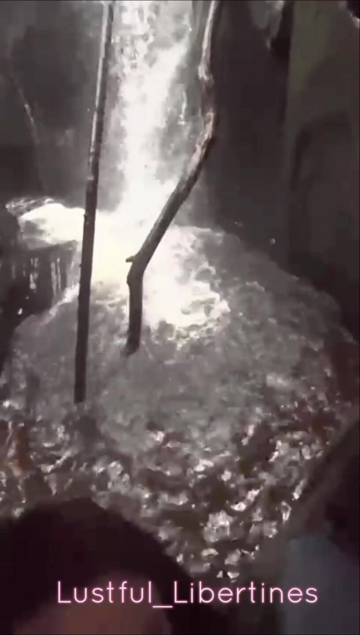 Lustful Libertines: Jen trochu lesa šukání a sání