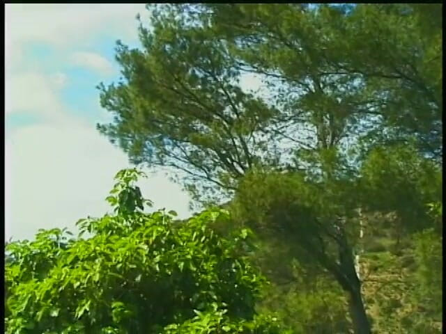 Gays Case: आउटडोर गर्म बिना कंडोम चुदाई के साथ पतला सफेद नीचे