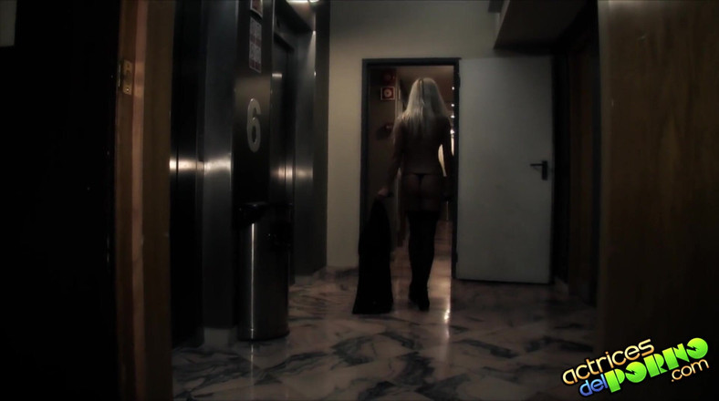 ADP Tube: La cameriera MILF ed il cliente caldo