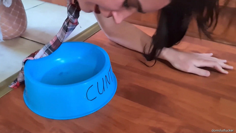 domslutfucker: Pigtailed slut walked with leash laps up piss