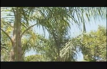 Xtime Network: Chupando buceta chupando pau no parque