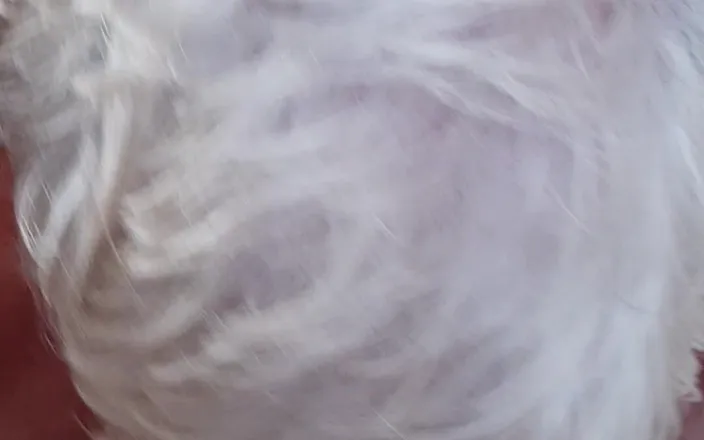 Uk Joolz: In the Menu Today Young Asian Cock
