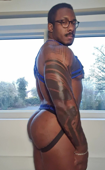 Amadeus: The Blue Harness and Jock