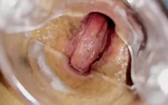 Big Brown Asshole Opened Close-up to Camera