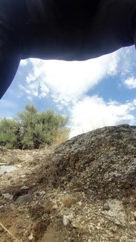 Zilah Luz, I Really Had to Pee. Stopped at the Side of the Road.