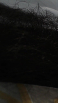Alpha Superiority Pubic Hair