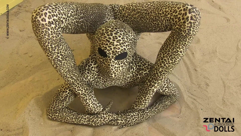 ZentaiDolls: Contortion Show