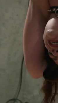 Amateur slave bdsm while hogtied upside down