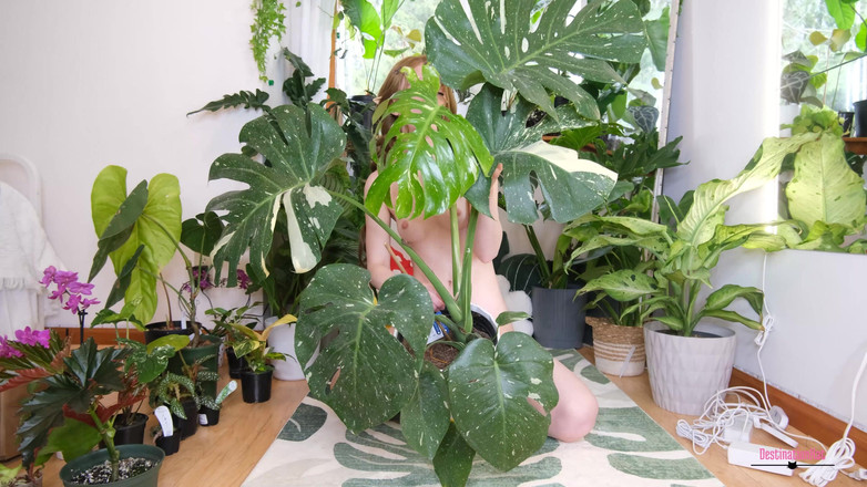 Destination Kat: Loji bogel Haul Jan dan Feb