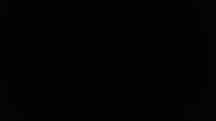 Hunky time: Le maître vous utilise comme cochons soumis