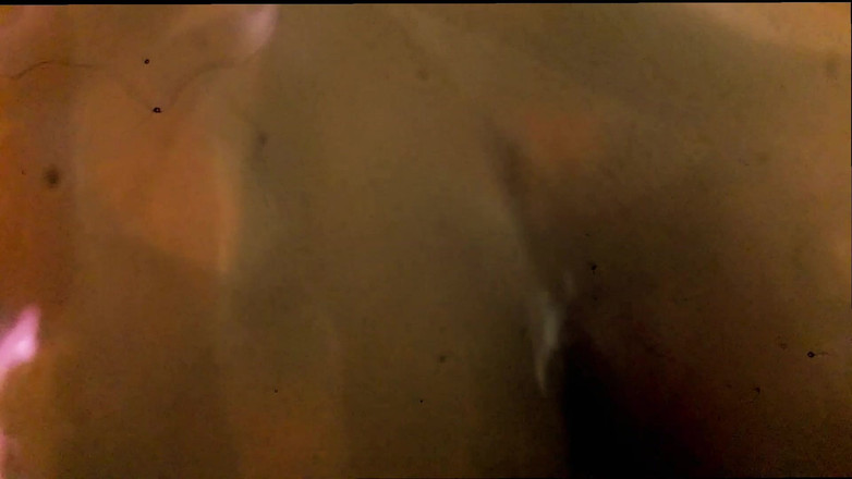 Tina Baby: 在妻子不在的时候做爱