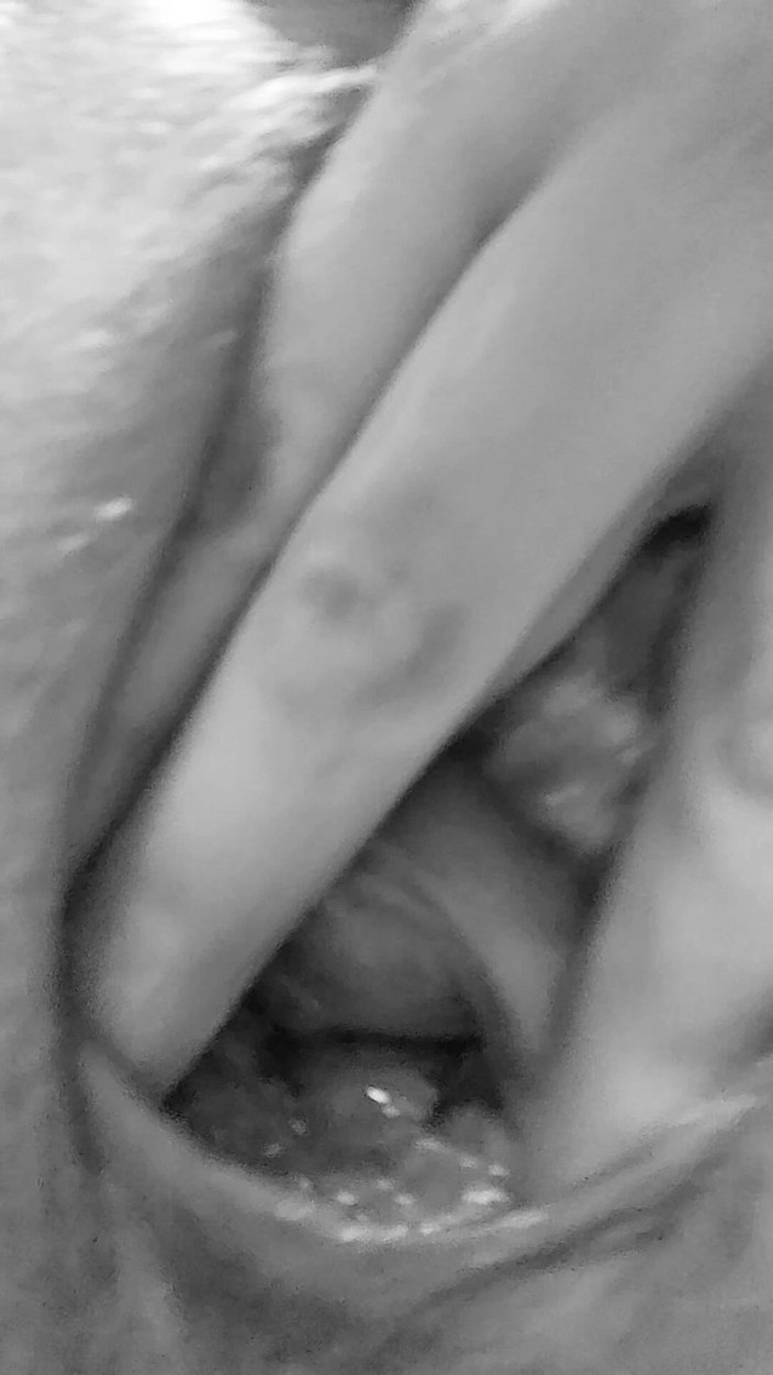 Misses Dickinson and Roughael: Thủ dâm âm hộ đầy dầu