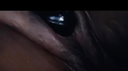 Cuteteddy: Bere velkého tlustého černého ptáka