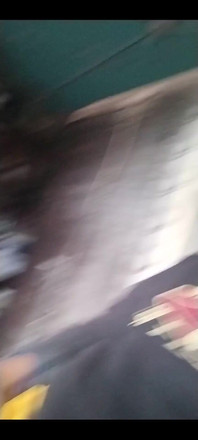 3131697031.mp4