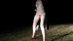 Bijbehorende video 1 - de string van 50 dollar