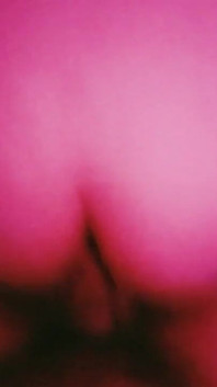 POV-AMATEUR ANal