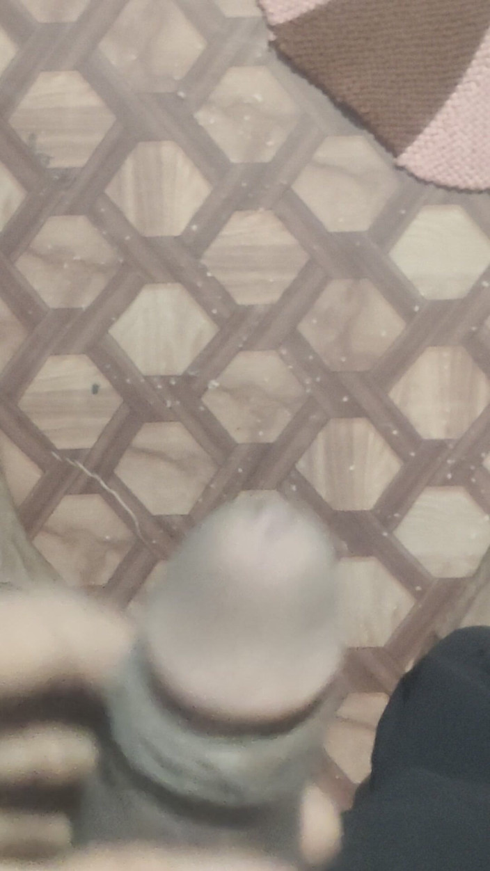 Gigolo Tv: You Are My Only Love