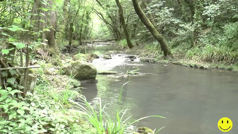 French Amateur Porn: 32enne troia francese scopata inculata vicino al fiume