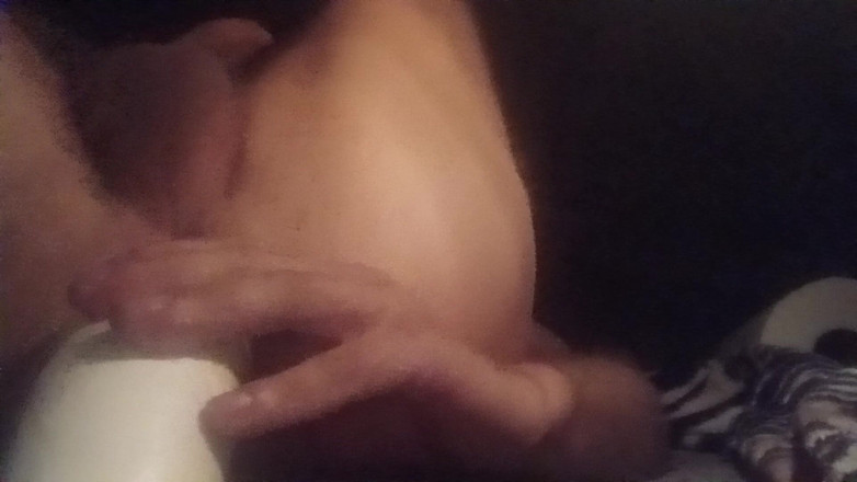 Haus86: Underhållning med din våta röv