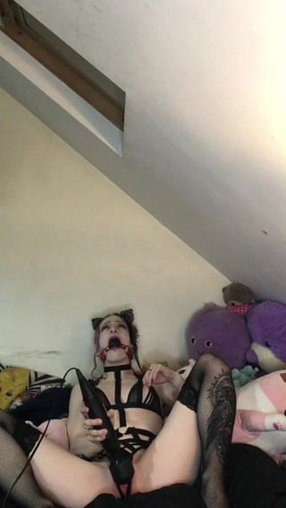 Rokkyhorrorx: Azgın ağzı tıkalı kedicik sessiz olmaya çalıştı