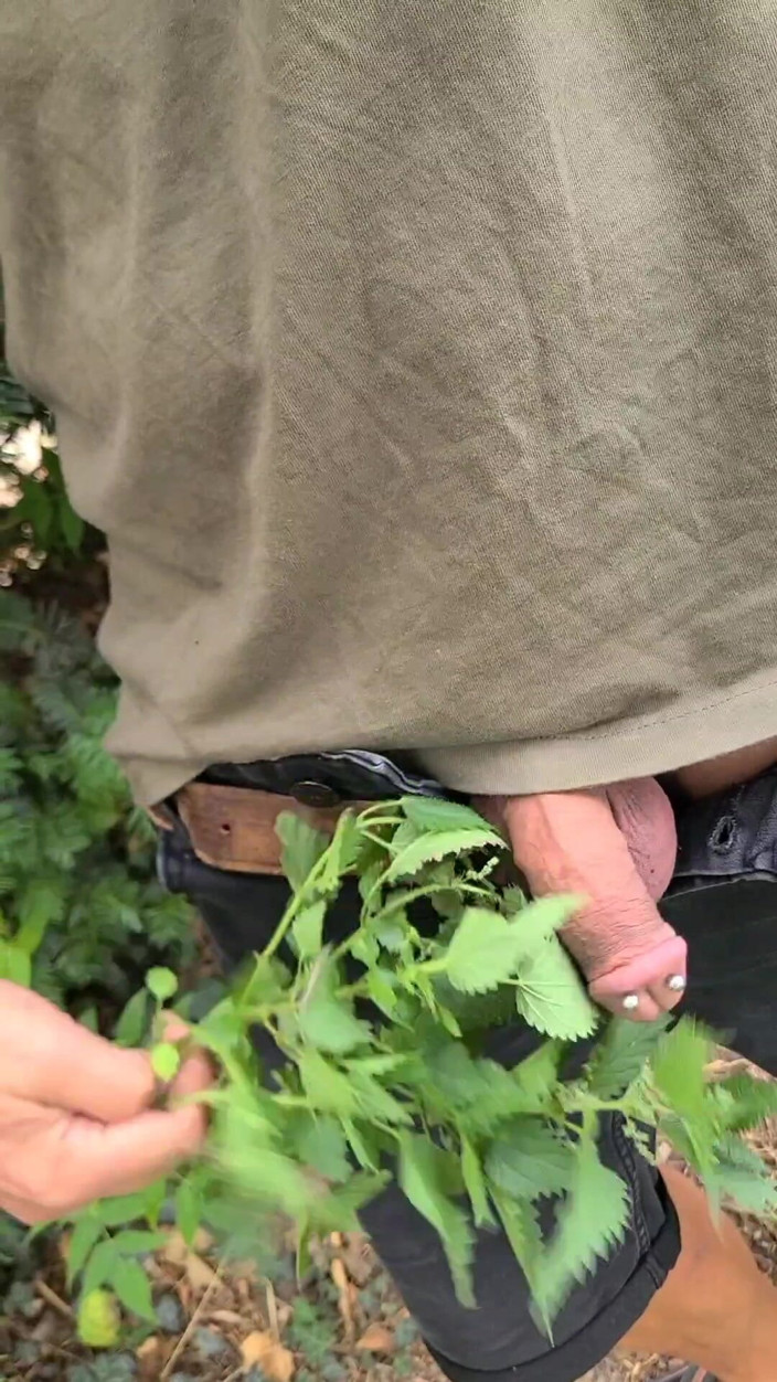 Terpene: Nettle Outdoors