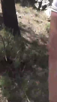 Another Clip Where You See Me in a White Dress After a Photo Shoot Walking Down a Steep Path with My Tits Out on Display.