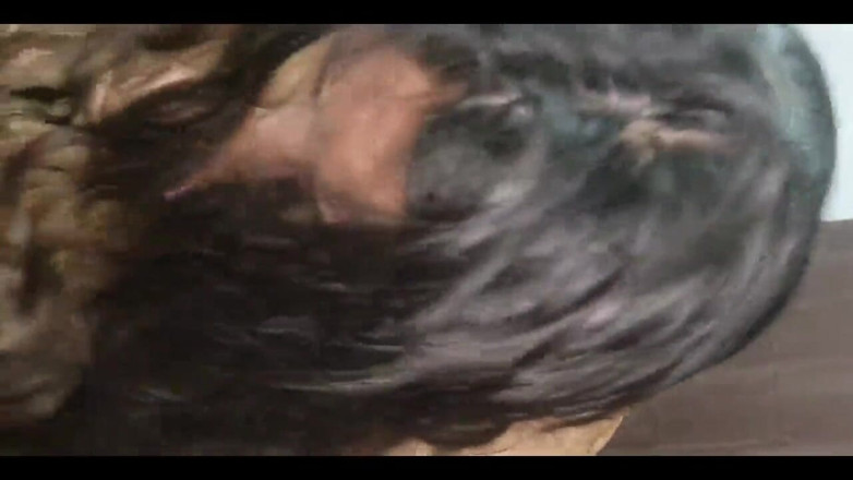 Anny Kitty: Dnešní studenti musí ošukat svého učitele, aby získali lepší známky