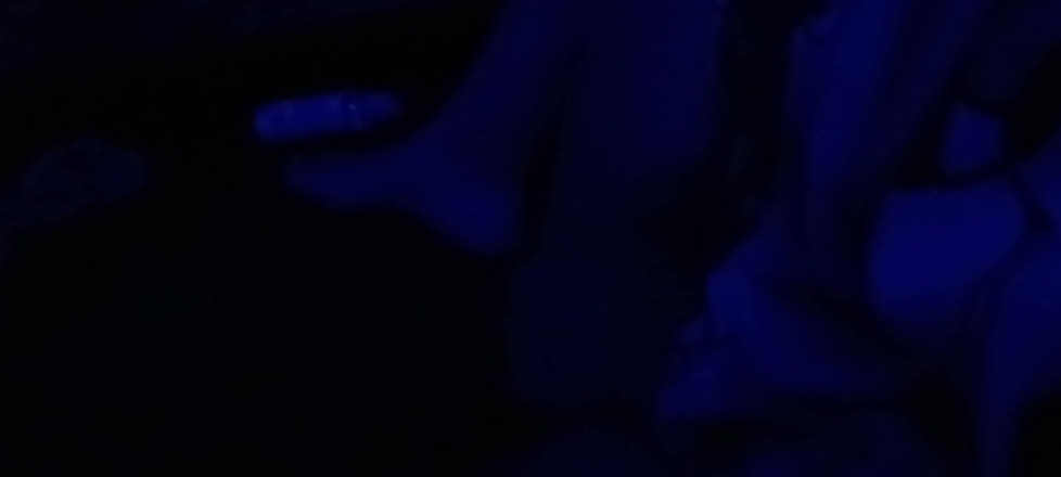 Blue rose: Nori în pizdă