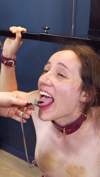 Mila solloza, grita y ruega mientras la dominatrix Elysia la hiere con pinzas hirientes y orgasmo tormento