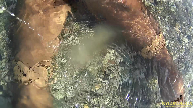 Nylondelux: Diversión de nylon en la playa pública