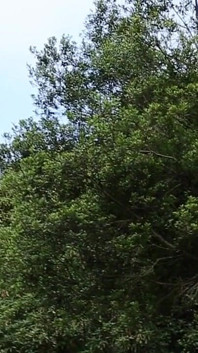 Stairway