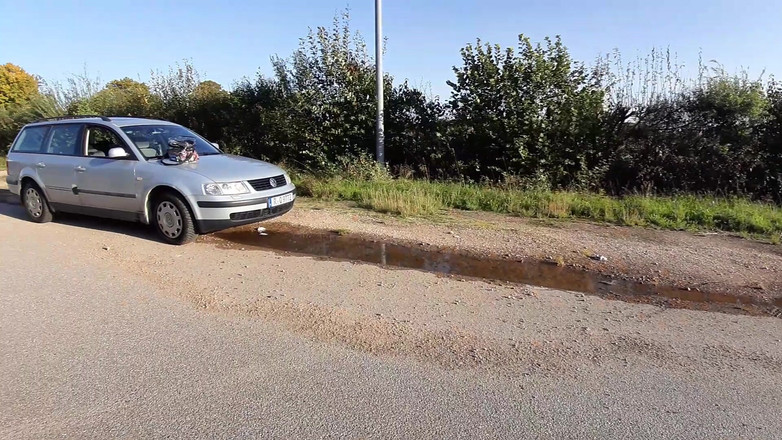 sweetfeet29: Sunny by the Car