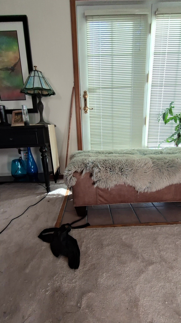 Zilah Luz: Masturbándome el coño peludo con mi consolador favorito