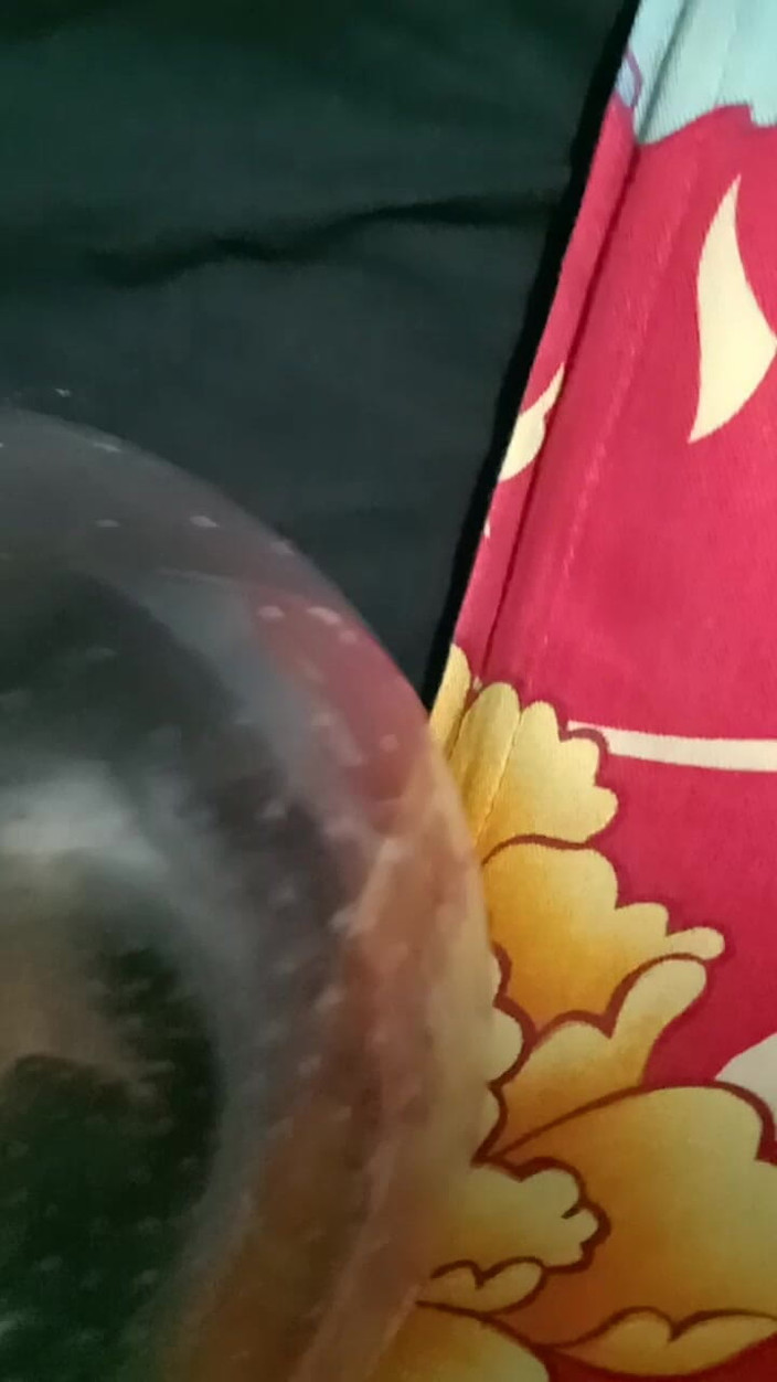 meetmesn: Video bokep sachtoy baru.