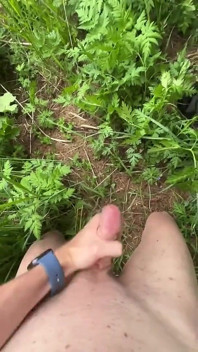 В лесу.