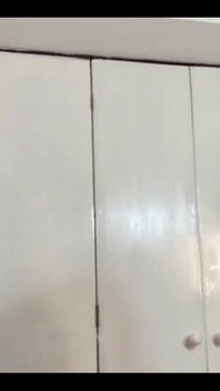 Nurse Magnita’s Expert 