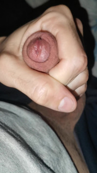 Perfect Cock