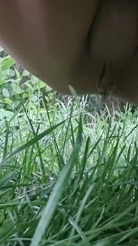 Pissing Compilation. Golden Rain. Femdom Piss. Shaving Pussy. Ep 10311