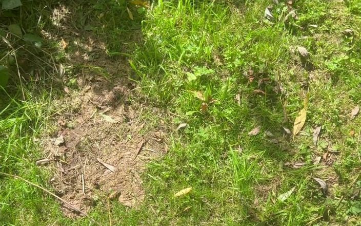 Kadu: Quyến rũ một người đàn ông đã có gia đình trong rừng