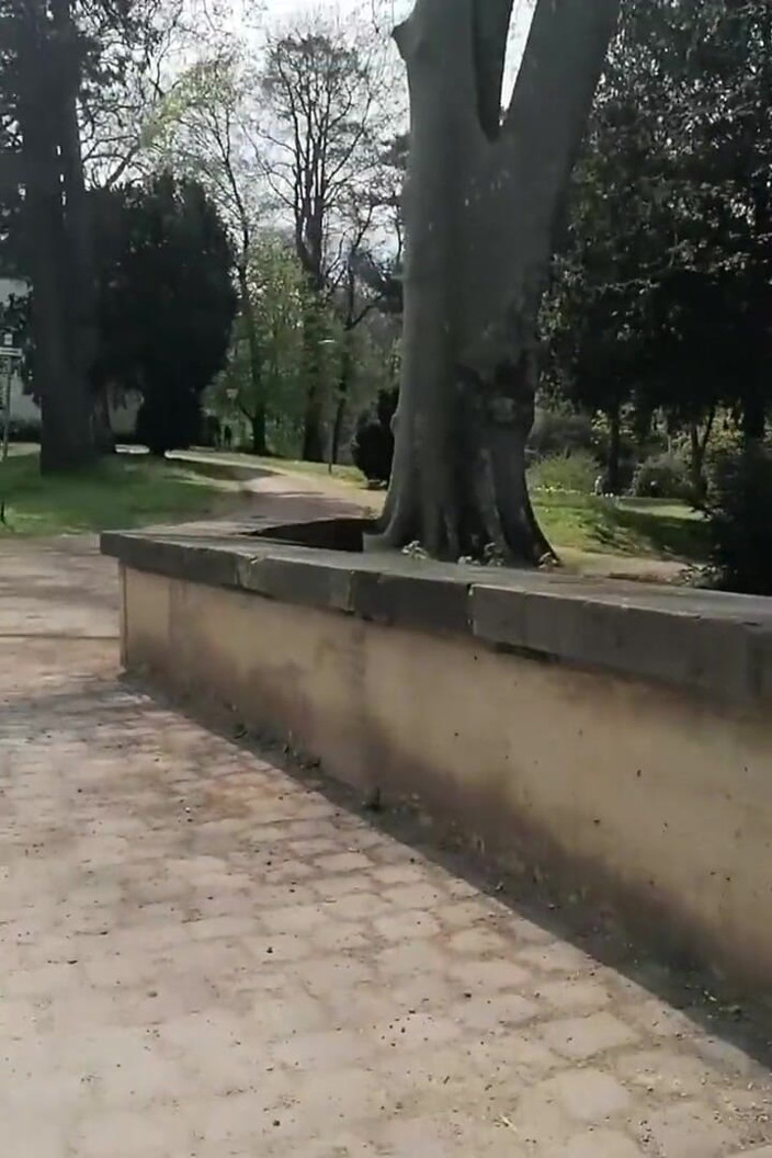 Mike Vonberg: Walk Through the Park with a Beautiful Slut with Wet...