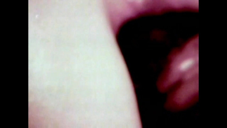 The Unforgettable: 야생 망아지