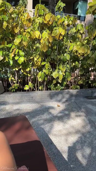 Feet Tease Outdoor While Watching a Movie