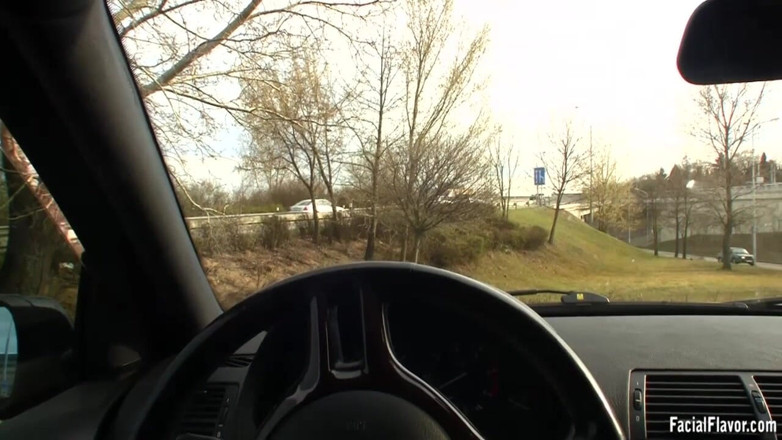 Facial flavor: Orale pitstop met mij en mijn pov-pijpbeurtmeisje, Jane