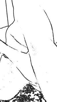 Local HomeMade Sex