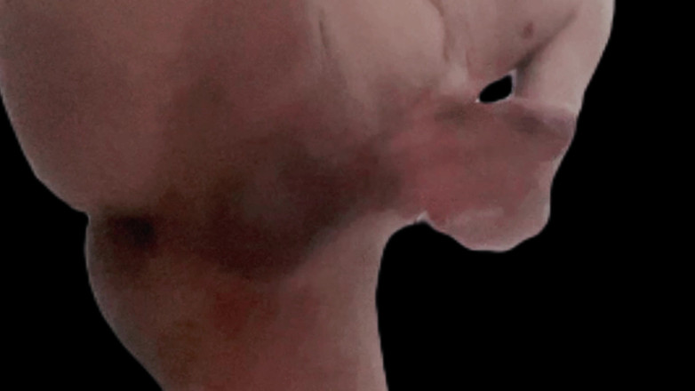 Naughty Cock: Masturbando-se em pé