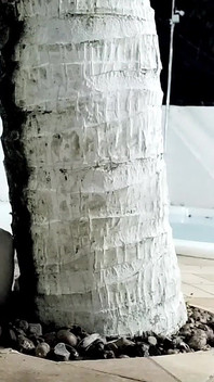 Wesley si teman nakalku muncrat