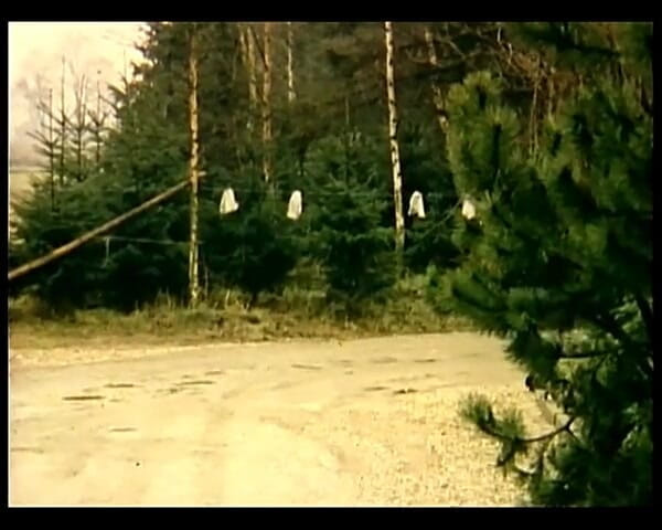 GERMAN PORN CLASSICS: Biggi un'anomalia
