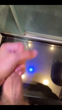 Some of My Best Cumshots